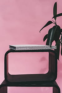 wood, plant, pink, shelf thumbnail