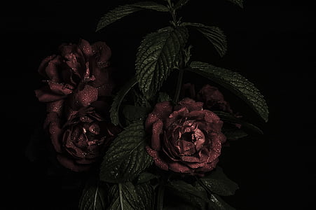red and green artificial floral decor thumbnail