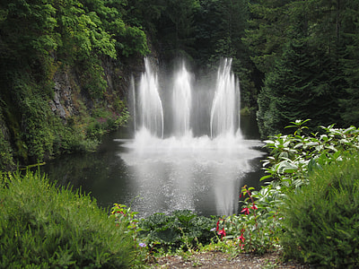 waterfalls surrounded with trees during daytime thumbnail