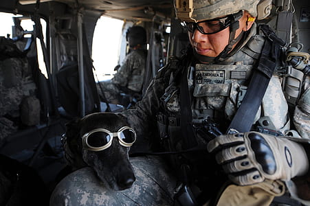 man riding on helicopter with dog wearing goggles at daytime thumbnail