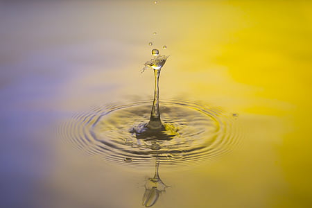 selective focus photography of water drop thumbnail
