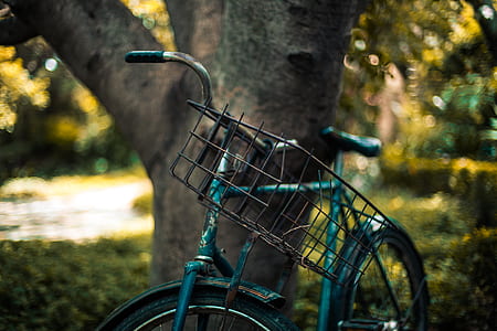 green bike parked beside tre thumbnail
