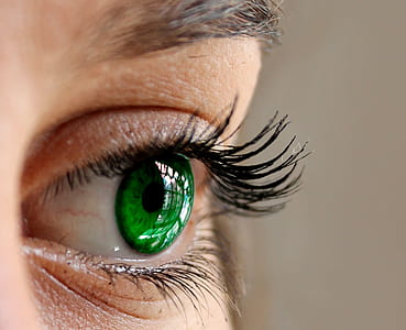 close-up photo of human green eye thumbnail