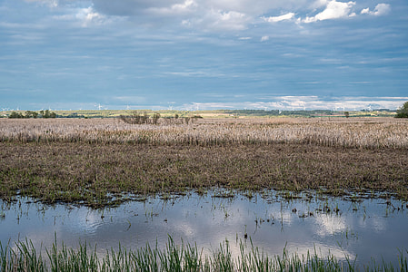 Great Marsh Landscape thumbnail