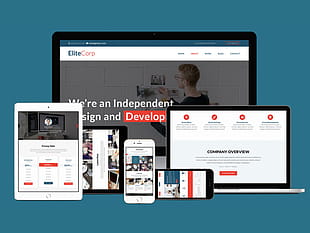EliteCorp Website Template psd file