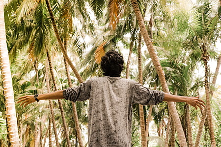 man standing under palm trees thumbnail