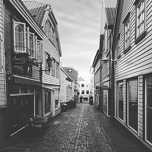 grayscale photo of pathway between houses thumbnail
