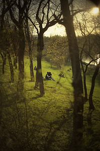 couples sitting on hill near trees thumbnail