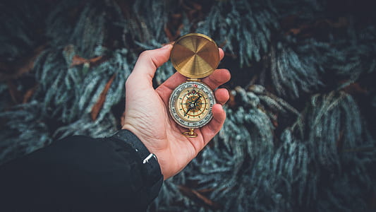 person with black strap watch holding gold-colored direction compass thumbnail