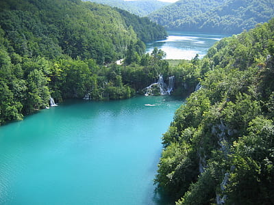 body of water across green trees thumbnail