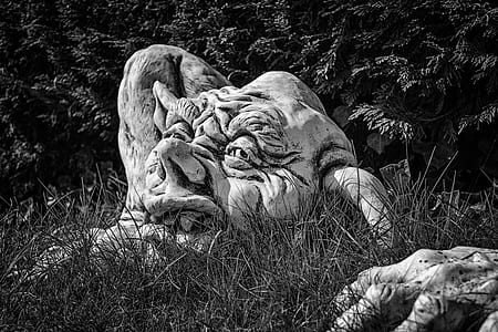 fairy tales, gnome, troll, mythical creatures, stone figure, creature thumbnail
