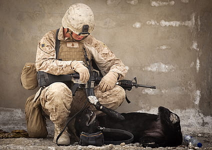 man, animal, military, battle thumbnail