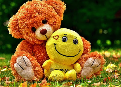 two plush toys on grass field thumbnail