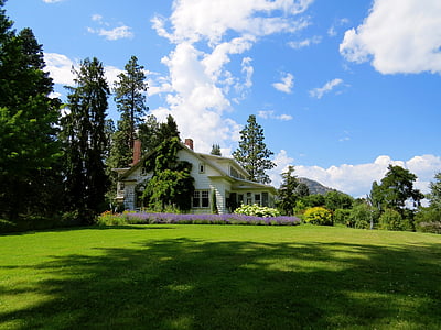green grass lawn during daytime thumbnail