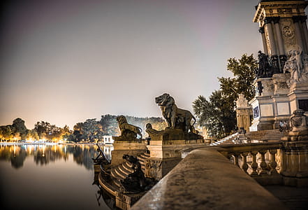 Shallow Focus of Gold Lion Statues thumbnail