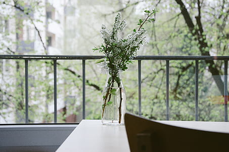 white lilac flowers in clear glass vase on table beside rail near woods thumbnail