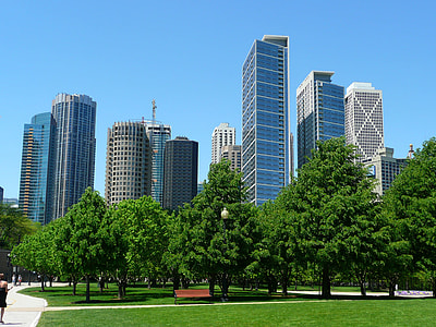 green leaf trees and high-rise buildings under clear blue bright sky thumbnail