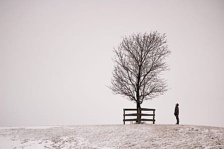 A young Caucasian man and a tree on a snowy hill with foggy background thumbnail