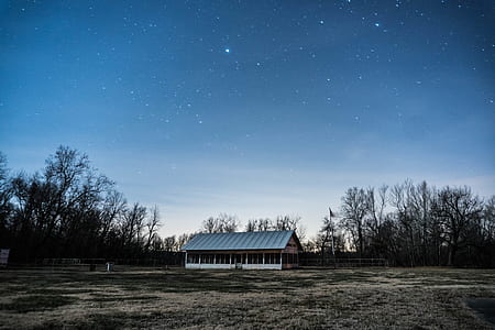 gray and white house surrounded by trees during nighttime thumbnail