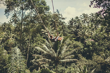 person doing zip line thumbnail