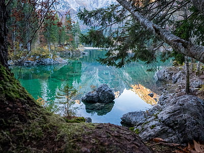 calm body of water surrounded by trees thumbnail