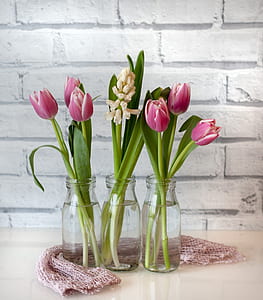 pink tulips in glass vase on beige surface thumbnail