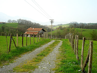pathway between grass field thumbnail