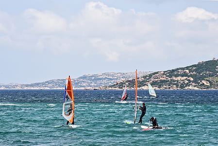 people riding sailboards on body of water thumbnail