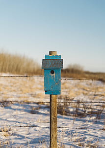 blue wooden post thumbnail