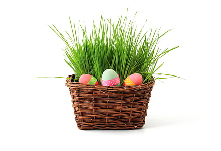 basket of green grasses thumbnail