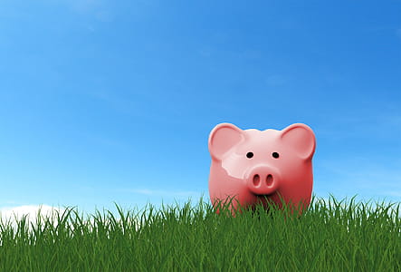 Piggy Bank on the Grass - Savings Concept thumbnail