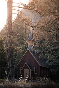 house near trees during day time thumbnail