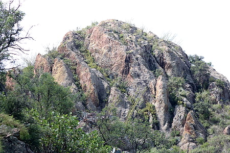 mountain surrounded by trees during daytime thumbnail