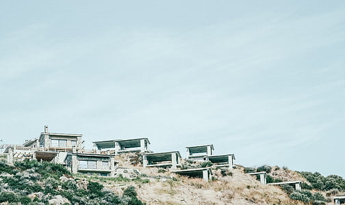 grey concrete houses beside green trees thumbnail