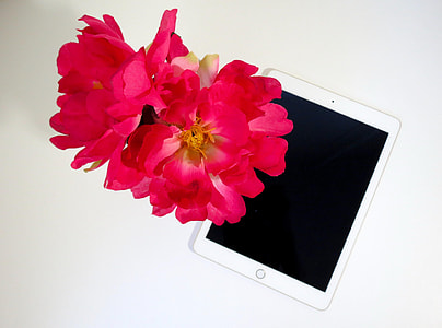 silver iPad with black screen beside red petaled flowers thumbnail