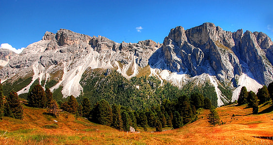 landscape photography of trees and mountain thumbnail