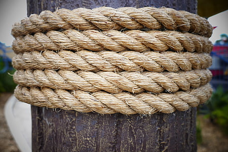 brown rope on log at daytime thumbnail
