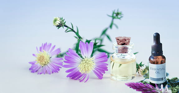 Scene of essential oils in a dropper and jar with botanical ingredients. thumbnail