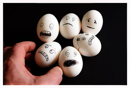 person holding several face-printed poultry eggs thumbnail