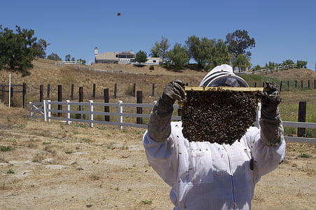 man wearing overalls holding beehive thumbnail
