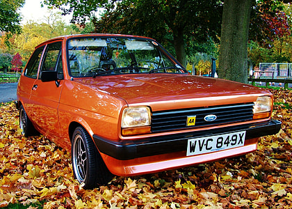 brown Ford 3-door hatchback on brown withered leaves during daytime thumbnail