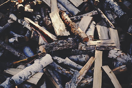 brown wooden drift woods thumbnail