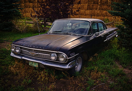 black car near green tree thumbnail