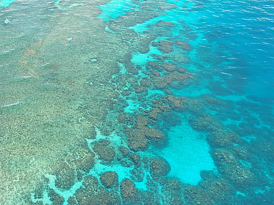 Grand Coral Reef, Australia thumbnail