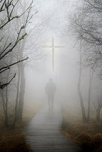 person walking on brown wooden pathway in fogy forest thumbnail