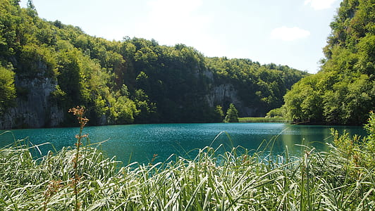 teal body of water surrounded by green trees thumbnail
