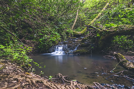 Waterfalls Surrounded With Green Leafed Trees thumbnail