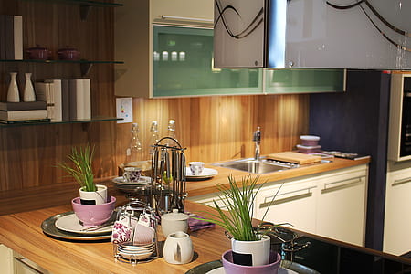 two green leaf plants in white pots on brown wooden kitchen table thumbnail