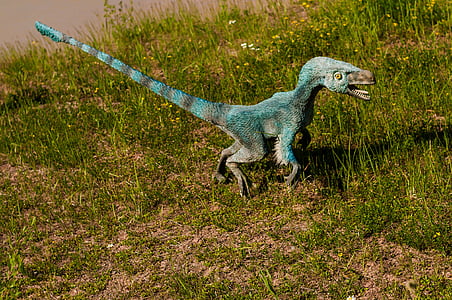 teal dinosaur toy on green grass thumbnail