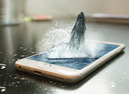 edited photo of whale jumping on iPhone's screen thumbnail